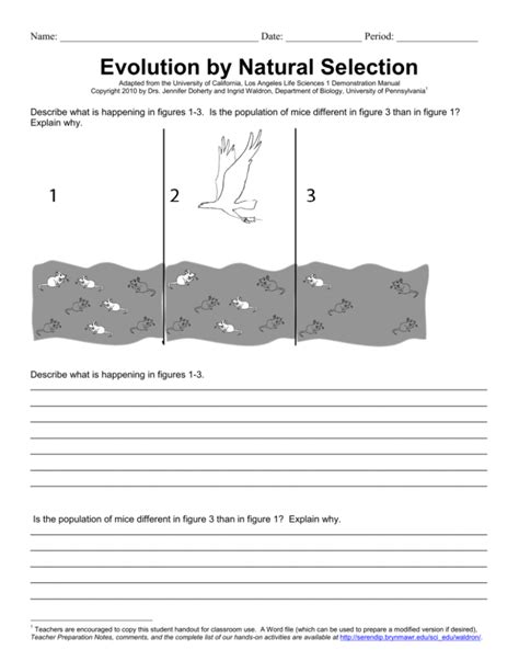 evolution natural and artificial selection worksheet